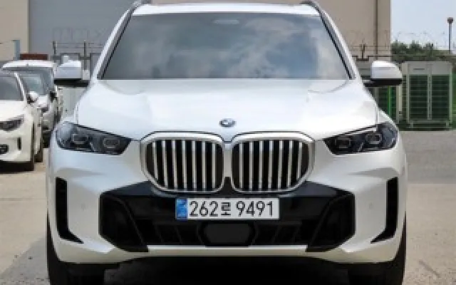 수원중고자동차매매가격 X5 (G05) xDrive 30d M 스포츠 매물 사진 20 - 2025/11 6,998km
